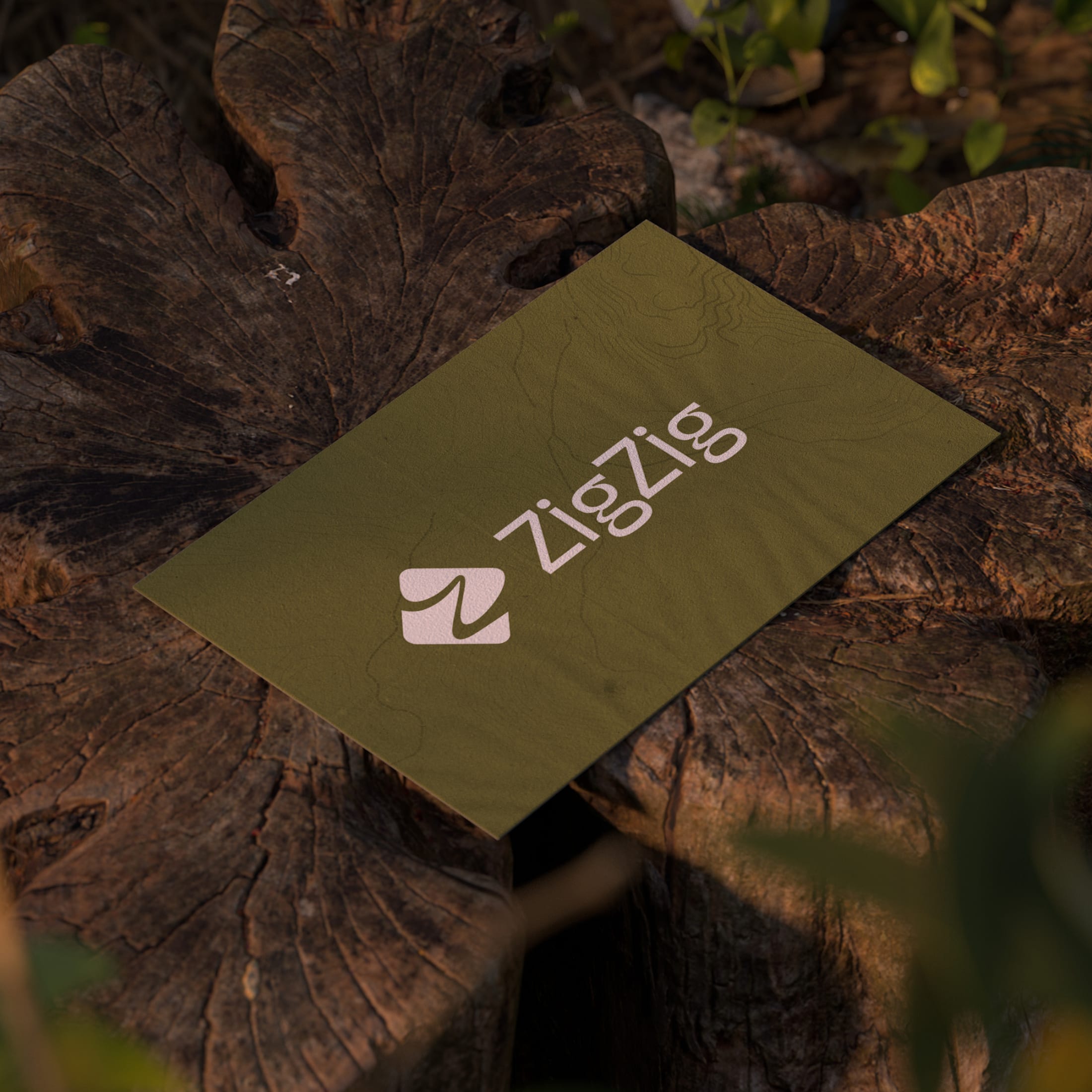 Tarjeta en verde oliva con el logotipo de ZigZig sobre un tronco
